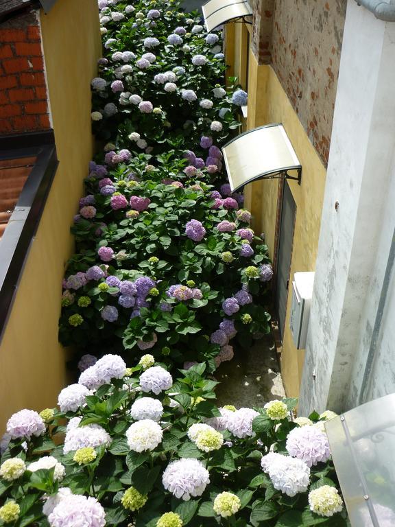 L'Adele Bed & Breakfast Occimiano Екстериор снимка